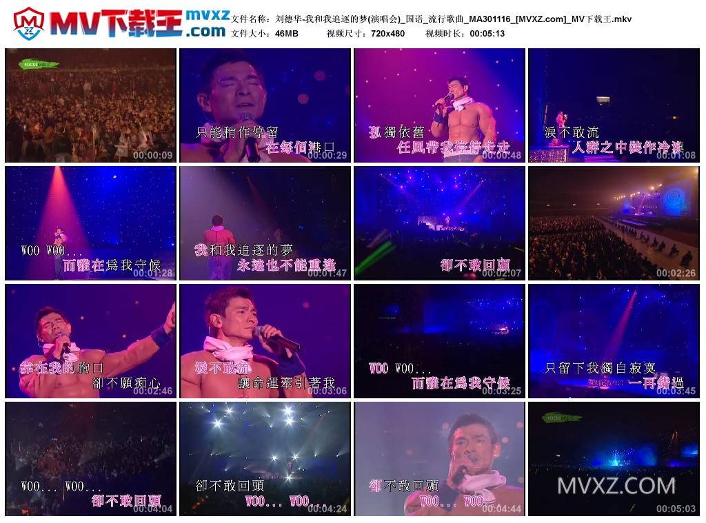 刘德华-我和我追逐的梦(演唱会)_国语_流行歌曲_MA301116